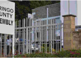 Baringo Becomes First County Assembly to Shoot Down BBI Bill 