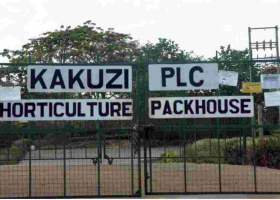 UK Company Pays 85 Kenyans Sh696 Million for Human Rights Violation 