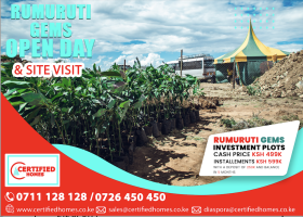 Affordable Investment Plots Available