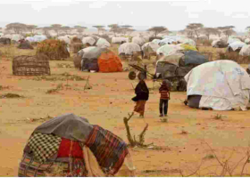 Kenya Gives UNHCR 14 Days to Close Kakuma and Daadab Refugee Camps over Terror Threat 