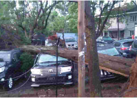 Heavy Rains Leave a Trail of Destruction in Nairobi 