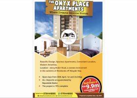 The Onyx Place Apartments: Interior State of the Art Edition and Outlook