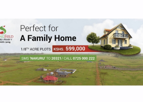 Investment Opportunity: Springfield Nakuru Phase V