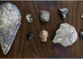 Uproar as Kenya Controversially Ships 145 Ancient Fossils to France