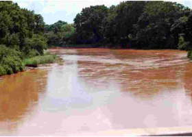 Alarm as 11 Mutilated Bodies are Retrieved from River Tana 
