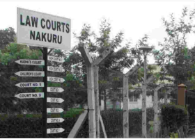 Kenyan Couple in Bitter Court Battle over Children's Relocation to the US 