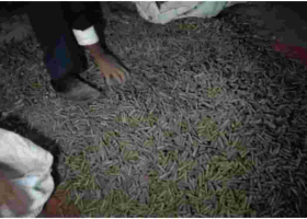 Kenyan Man Arrested with Thousands of Spent Bullet Cartridges in Nakuru
