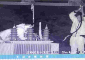 Detectives in Hot Pursuit of Thugs Caught on CCTV Vandalizing SGR Transformers 
