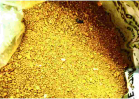Two Suspects Arrested for Conning an Investor Sh1 Million with Crushed Padlocks Disguised as Gold 