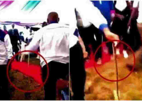 Snake Causes Commotion at Wiper Leader Kalonzo Musyoka's Meeting 