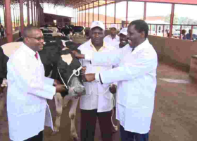 Uhuru Delivers Gift of a Special Cow to Burundi President Evariste Ndayishimiye