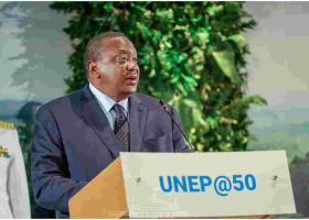 Kenya Launches $20,000 Peace and Environment Global Award 