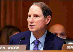 Senator Says ICE Secretly Collected Data of Money Transfers Sent to and from the US