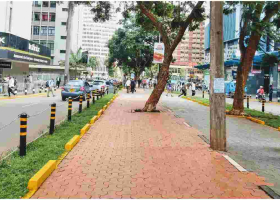 NMS to Build Pedestrian and Cycling Lanes in Nairobi Estates in Sh1.4 Billion Project 