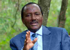 Kalonzo to Vie for Presidency if Not Named Raila's Running Mate, Senator Mutula Kilonzo Jr Says 