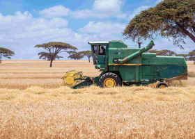 Wealthy Investors to be Given Idle Kenya Gov't Land for Large-Scale Farming 