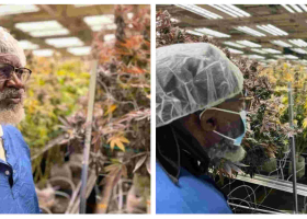 Presidential Contender George Wajackoyah Tours Marijuana Farms in the US 