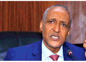 Foreign Affairs PS Kamau Under Fire for Comment on Mistreatment of Kenyan Workers in Saudi Arabia 