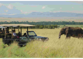US, Uganda and UK Lead Kenya Tourist Arrivals 
