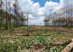 Police Probe Invasion of Kenyatta Family’s Ruiru Farm by Goons 