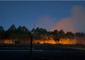 Fire Breaks Out at Kenyatta Family’s Land, Hours After Raid by Goons