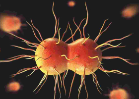 Alarm as Kenya Scientists Discover New Strains of Gonorrhea and Chlamydia