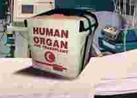 Kenya to Set Up a Body Organ and Tissue Donation Bank 