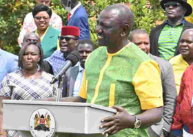 More Pressure at Ruto's Camp as UDA National Vice Chairperson Ditches the Party