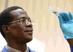 Kenyan Professor Recognized for Academic Excellence in the UK