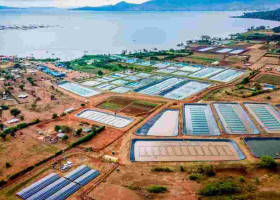 New List of Kenya's Little-Known Firms Earning Billions Revealed
