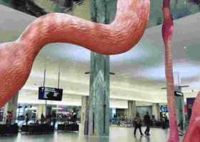 Susan Kihika's Plan to Install Ksh 72M US Airport Sculpture in Nakuru