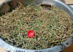 Seven Arrested Over Possession of Bhang in Nairobi 