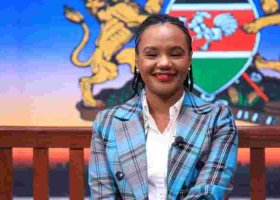 Government Puts in Place Structures to Attract Diaspora Investments