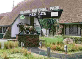 Kenya Govt Grants Free Entry to National Parks on Jamhuri Day