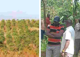 60-Year-Old Woman Brutally Murdered, Money Left Untouched