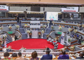 Strategies for Government to Leverage Diaspora Beyond Financial Contributions