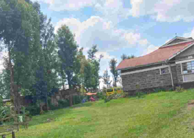 75-Year-Old Nakuru Mother Fights Eviction Attempt by US-Based Son