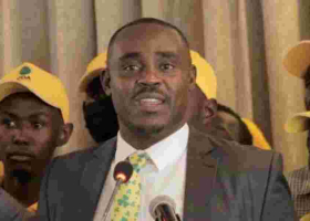 UDA Confronts Malala on Gachagua Impeachment Claims