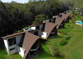 Kenyan Luxury Real Estate Faces Auction Surge Amid Market Downturn