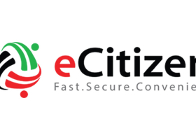 Kenya MPs Raise Alarm Over eCitizen Platform Contract Transparency and Security Risks