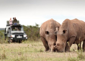 KWS Seeks to Raise National Park Fees by 50%