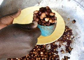 Kilifi County Halts School Feeding Programme After Pupils Made to Recite Hindu Prayers