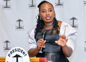 Faith Odhiambo Defends Role in Protest Victims Panel