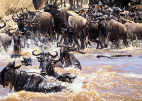 Africa’s Tourism Sector Faces Hurdles in Adopting Digital Technology