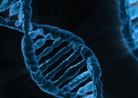 Claims of Fake DNA and Birth Certificate Fuel Nairobi Custody Fight