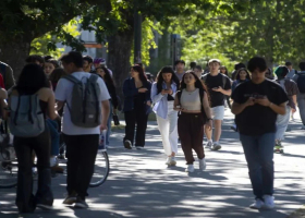 International Student Arrivals in Canada Fall 60% in 2025