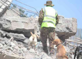 Anguish as Two Guards Remain Missing After South C Collapse 