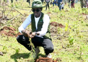 Kenyan Environmentalist Targets World Record with 24,000 Trees in 24 Hours