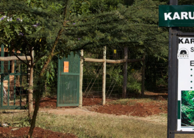 Why the Government Is Clearing 3 Acres of Karura Forest