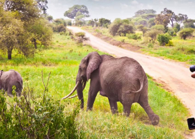 Kenya Tourism Hits Record Sh500 Billion in 2025